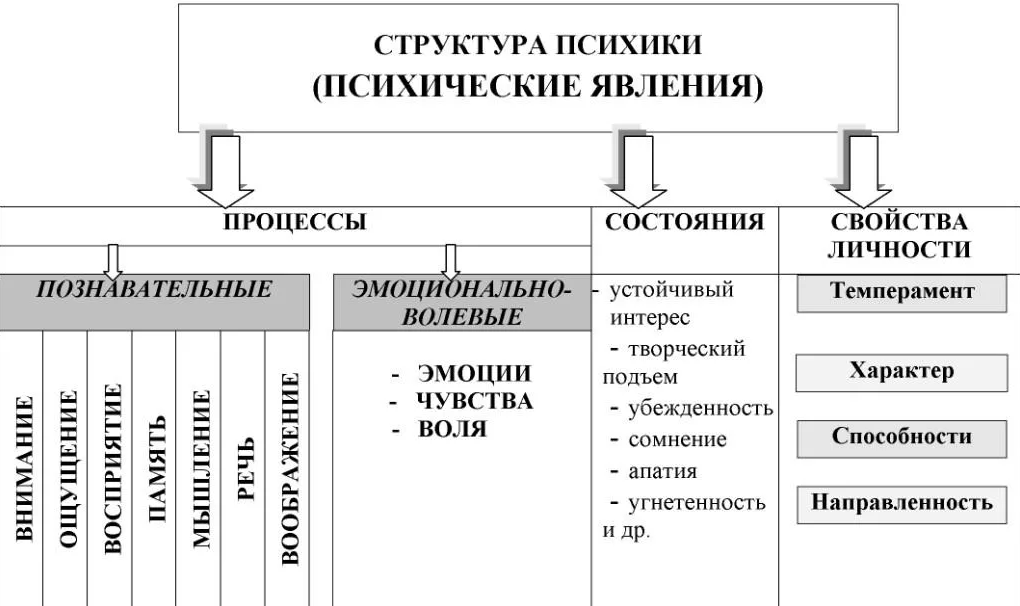 Структура психики - Умственные качества