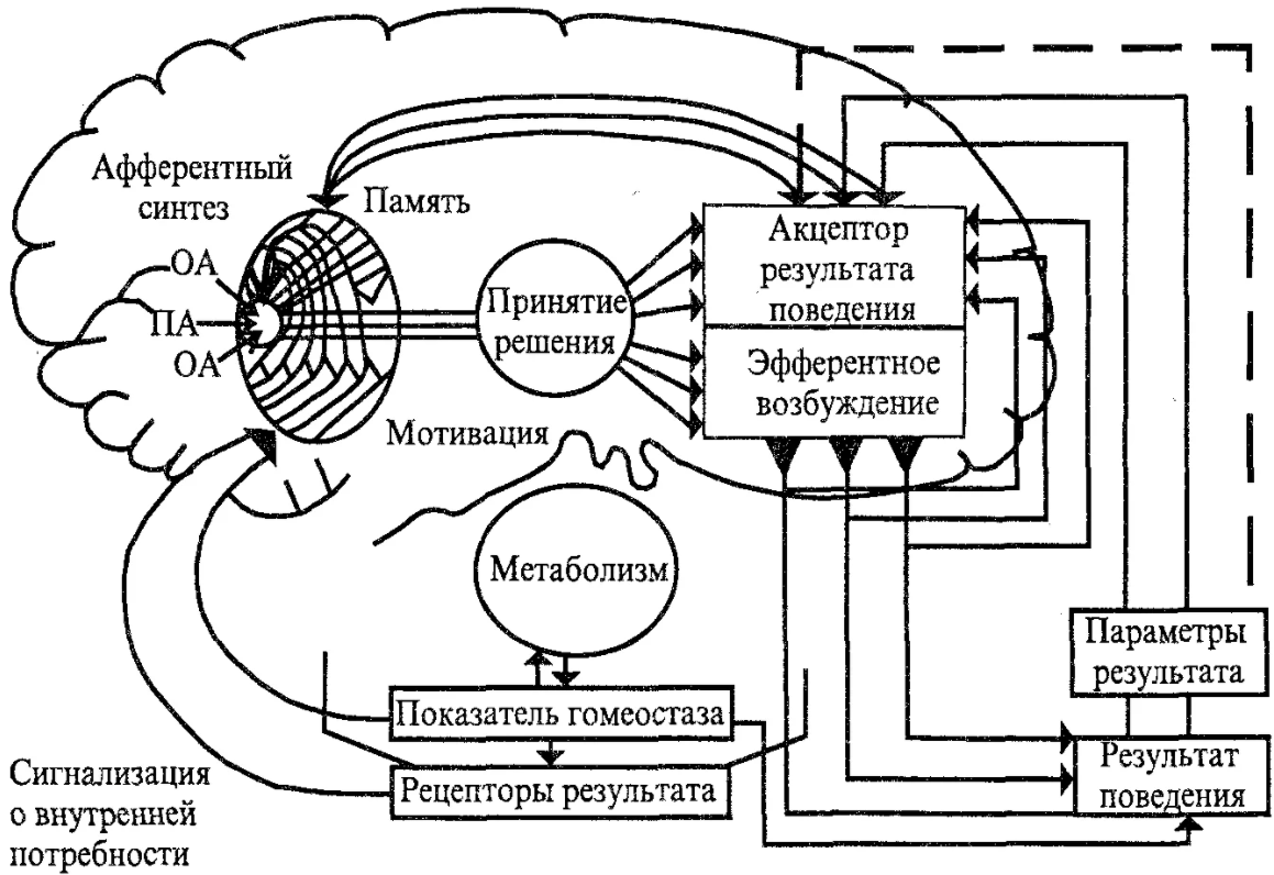 Информационная мотивация - Население студентов как социальная группа