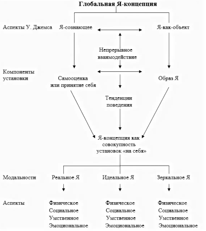 Роль «я-концепции» в жизни личности - Понятие "само-концепция"