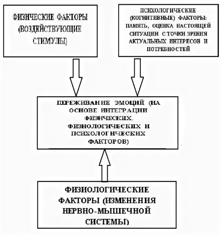 Развитие эмоций и их значение в жизни человека - Общее представление об эмоциях