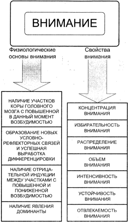 Развитие внимания - Концепция внимания