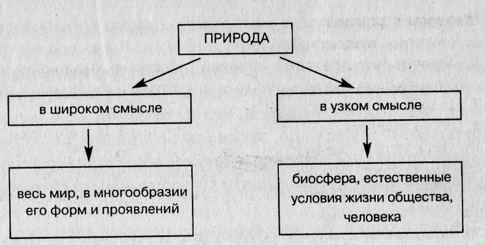 Природа как предмет философского осмысления - Значения термина "природа" 