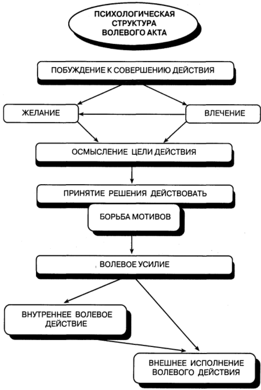 Развитие мышления - Когнитивные ментальные процессы