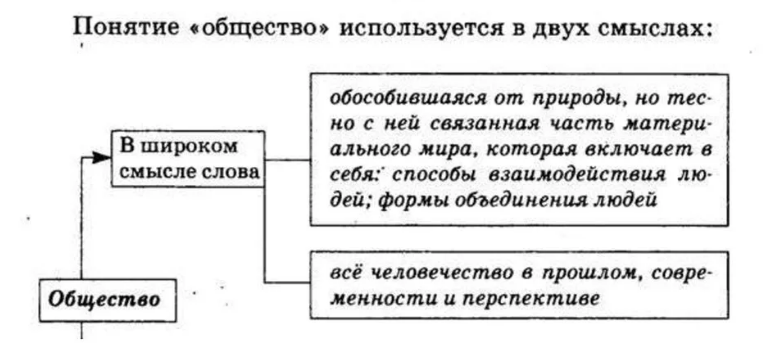 Общество и человечество, нация и семья