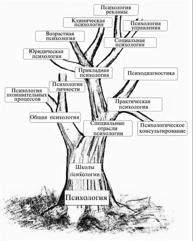 Развитие клинической психологии - История развития и становления клинической психологии