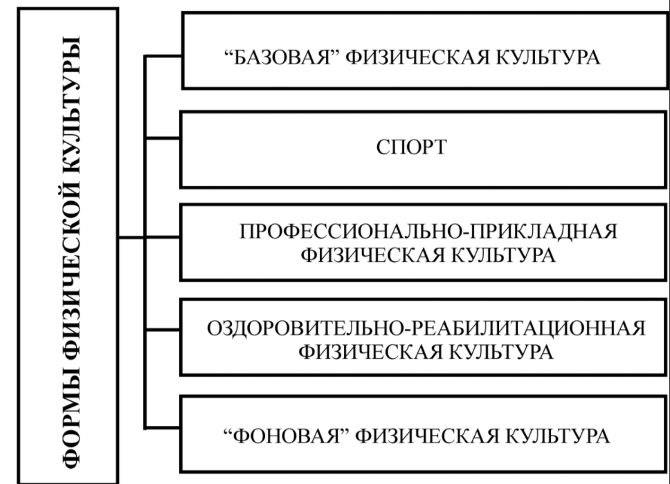 Роль физкультуры и спорта в развитии личности - Концепции ленинградской онтопсихологической школы