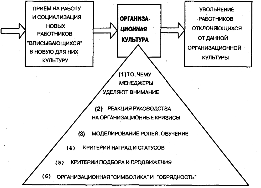 Изменение организационной культуры - Предпосылки для изменения культуры. Подготовка к переменам