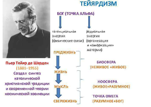 Концепция антропогенеза Теяр де Шардена - Сопоставление с теорией Дарвина 