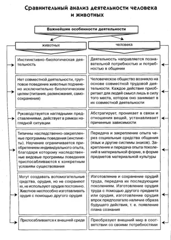 Различие психики человека и животных - Развитие психики у животных