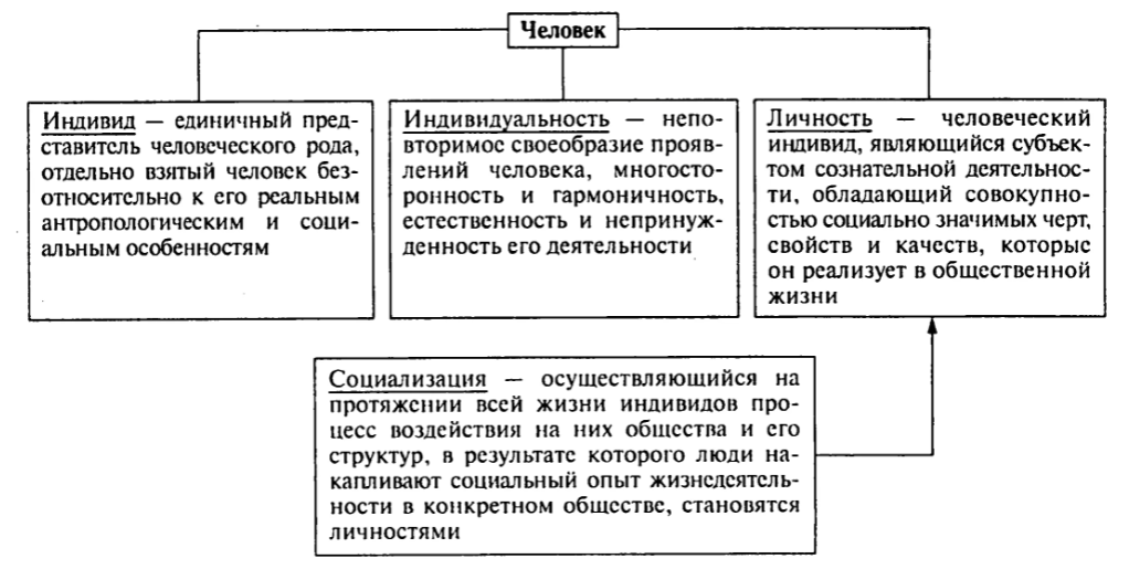 Социокультурная обусловленность познания - Виды научной рациональности