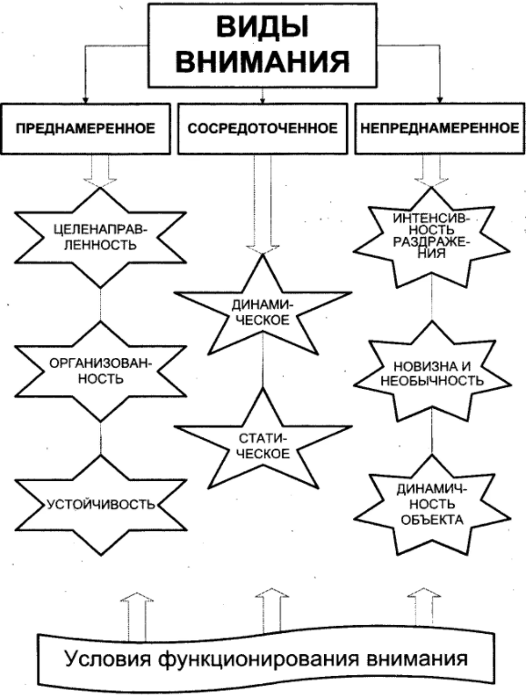 Развитие внимания младших школьников на занятиях познавательного цикла - Исследование внимания и его развитие