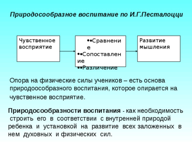 Взгляды И. Песталоцци на применение принципа природосообразности - Педагогическая концепция