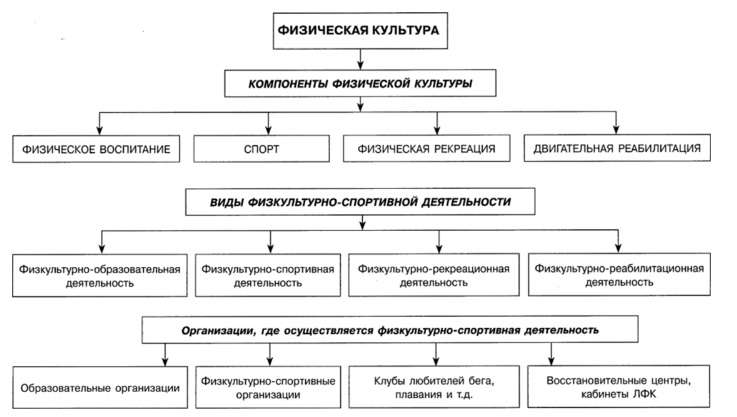 Фитнес-клуб как объект управления - Общие характеристики управления в области физического воспитания и спорта