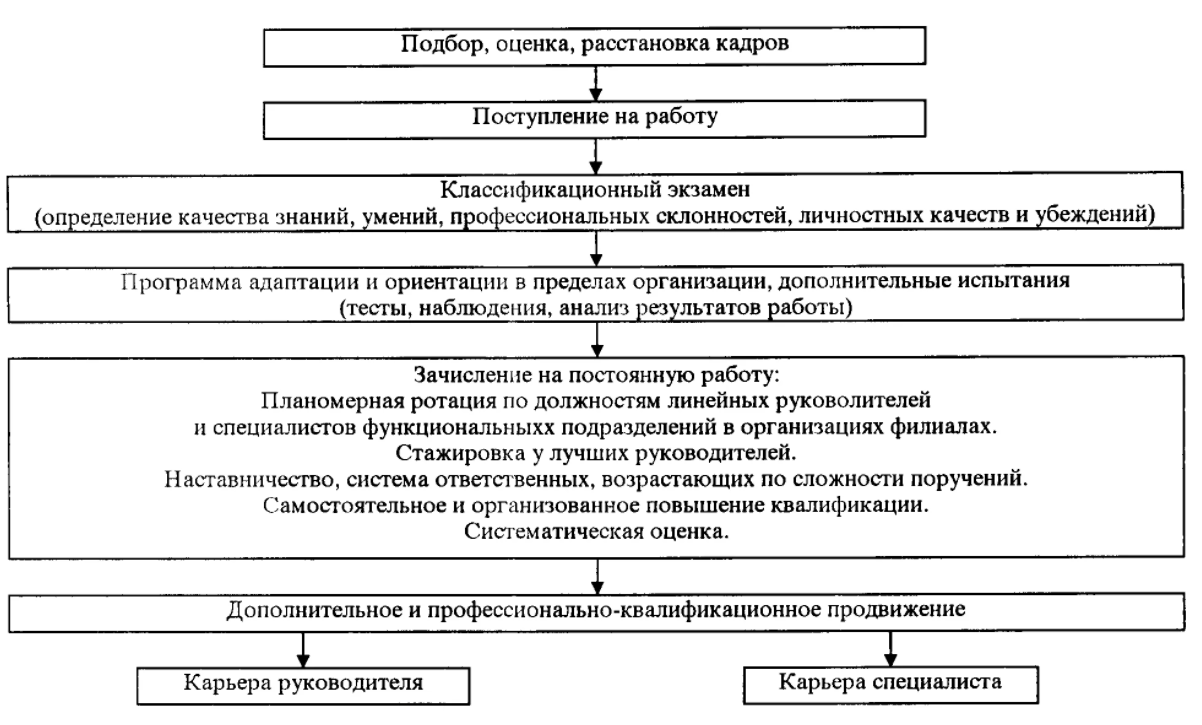 Кадровое прогнозирование - Рабочий потенциал