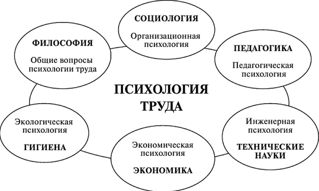 Клановая организационная культура - Концепция организационной культуры: определение, содержание, элементы