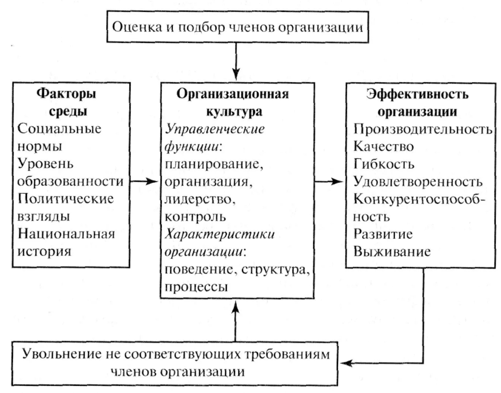 Критерии организационной культуры - Структура организационной культуры