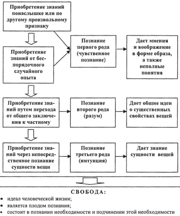 Гносеология спинозы - Биографические сведения