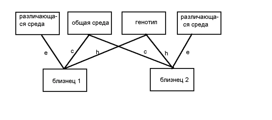 Близнецовый метод - Суть близнецового метода психогенетических исследований