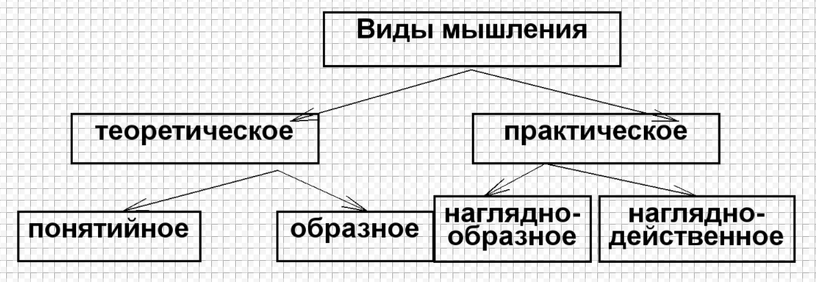 Развитие мышления. Типы людей по характеру мышления - Процессы мышления