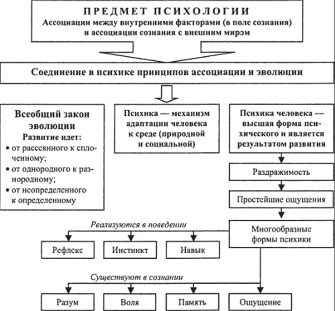 Герберт спенсер, английский философ, основатель органической школы в социологииГерберт спенсер, английский философ, основатель органической школы в социологии - Герберт Спенсер - жизнь, судьба, творчество