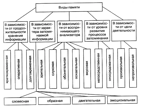 Виды памяти. Виды нарушений памяти - Общее представление о памяти