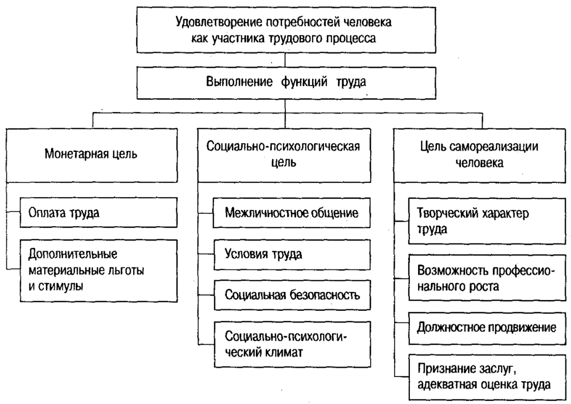 Классификация функций управления персоналом - Характер и важность управления людскими ресурсами в организации