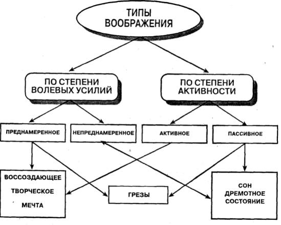 Воображение как психический процесс - Понятие воображения, его типы, функции, механизмы, физиологическая основа