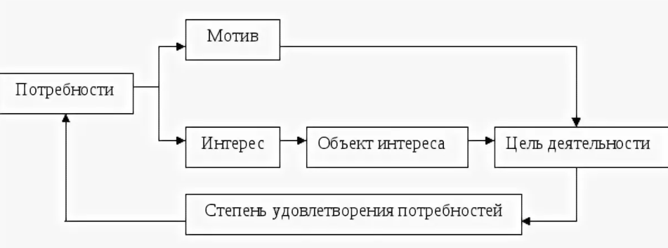 Потребности и интересы - Виды человеческих потребностей