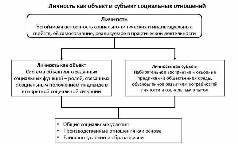 Понимание деятельности и ее всеобщих начал. Специфика в понимании социального субъекта -  Деятельность как особый тип поведения 