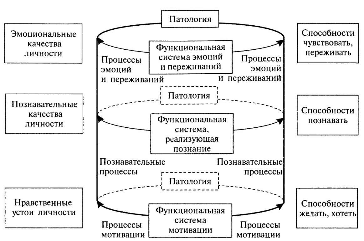 Развитие когнитивных процессов младшего школьника - Характеристики сенсорного развития детей младшего школьного возраста