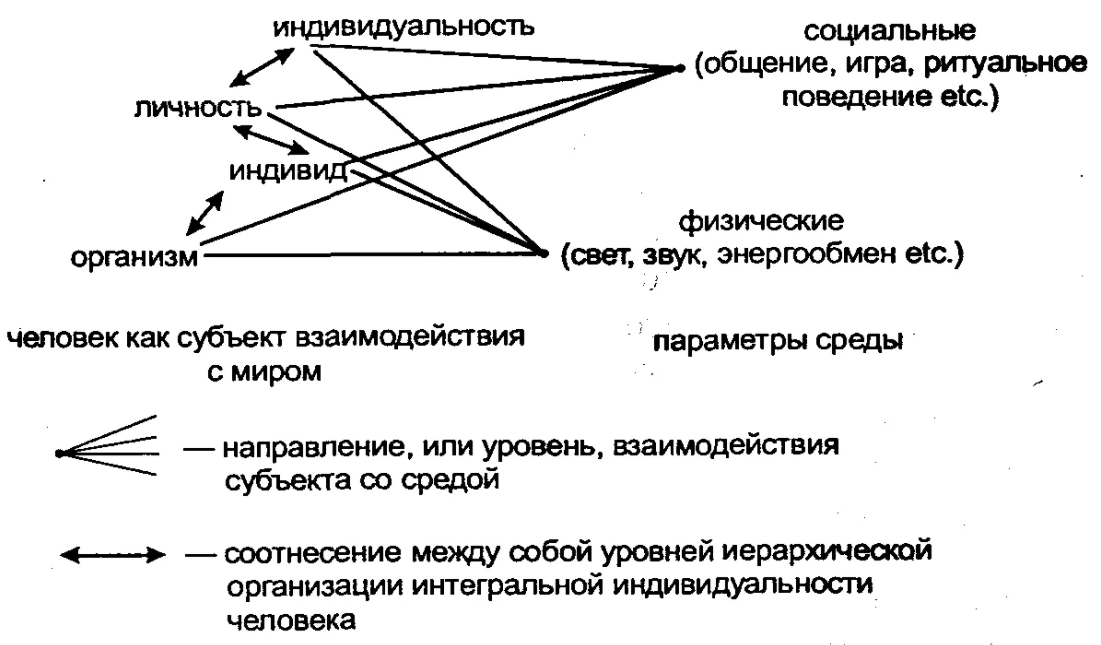 Личностный аспект взаимодействия человека и организационного окружения - Организационная структура