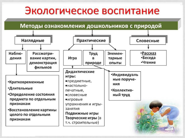 Методика экологического воспитания - Наглядные методы