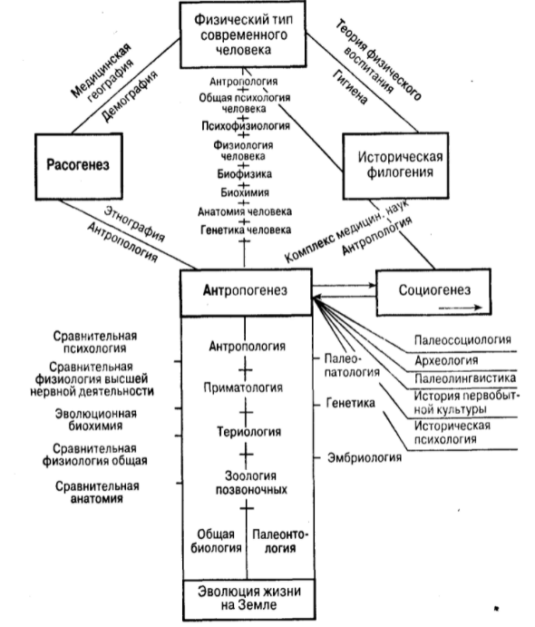 Структурная антропология - Содержание структурализма