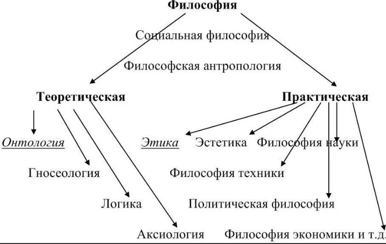 Аристотель как основатель системы наук - Краткая биография Аристотеля