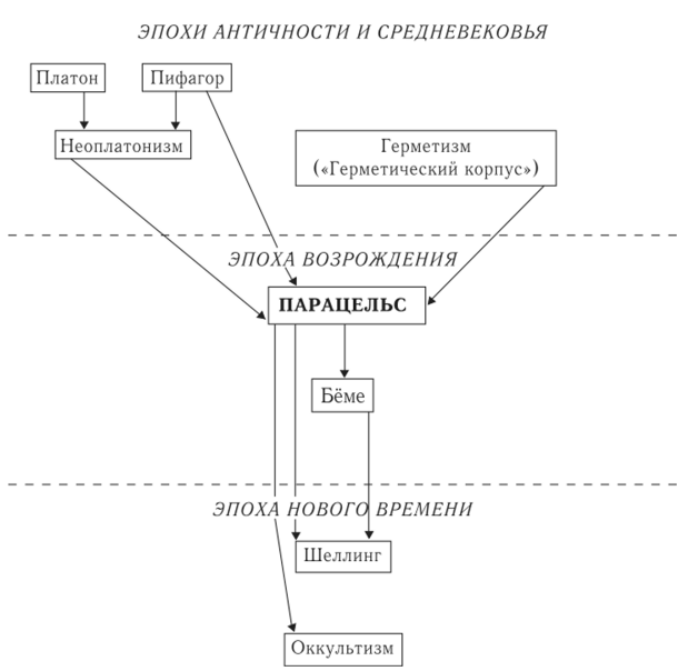 Парацельс, врач, естествоиспытатель и философ эпохи возрождения - Свой путь в Медицине