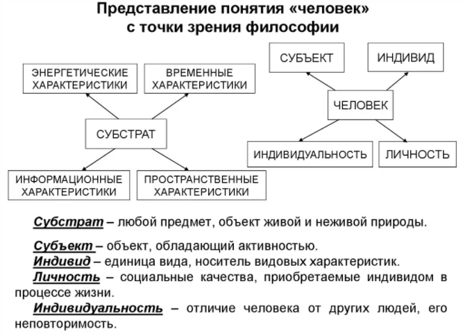 Проблема человека в современной философии - Проблемы философской антропологии 