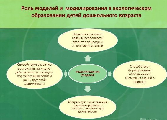 Методика формирования системных знаний о домашних и диких животных у детей дошкольного возраста  - Формирование у детей динамических представлений о росте и развитии живых существ