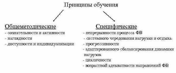 Специфические принципы физического воспитания