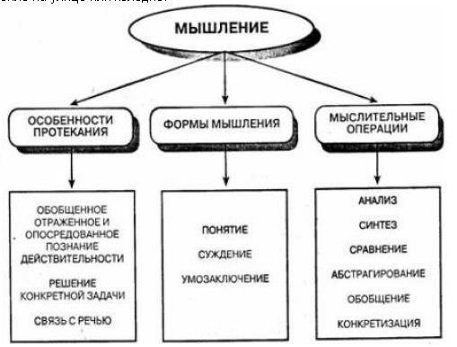 Система работы по формированию основ словесно-логического мышления у детей с нарушением интеллекта - Развитие словесно-логического мышления в онтогенезе детей