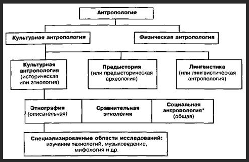 Философско-биологическая антропология - Концепция философской антропологии