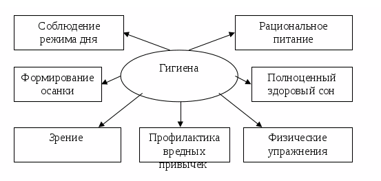 Содержание и методика формирования культурно-гигиенических навыков у детей дошкольного возраста - О необходимости формирования культурно-гигиенических навыков 