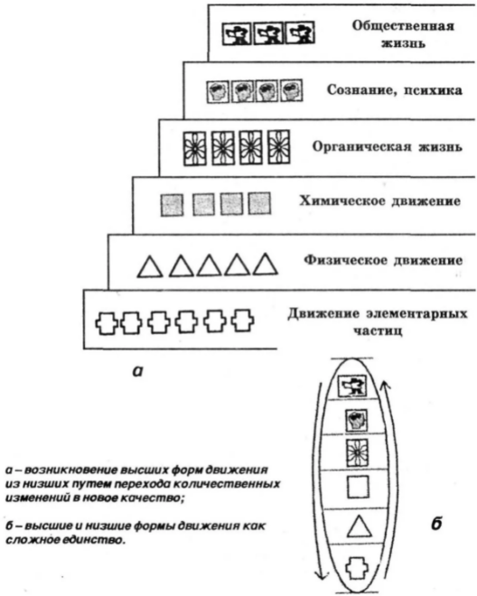 Социальная форма движения материи и её специфика