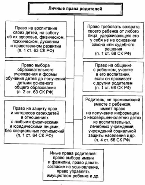 Воспитание детей несовершеннолетними родителями - Понятие родительских прав и обязанностей