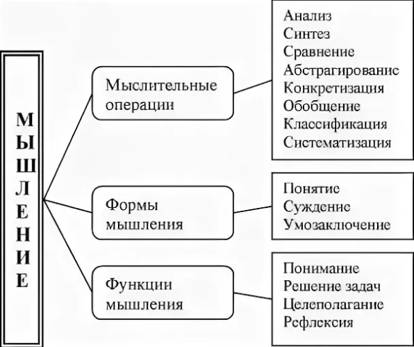 Проблема единства языка и мышления в современной философии - Понятие мышления и этапы развития 