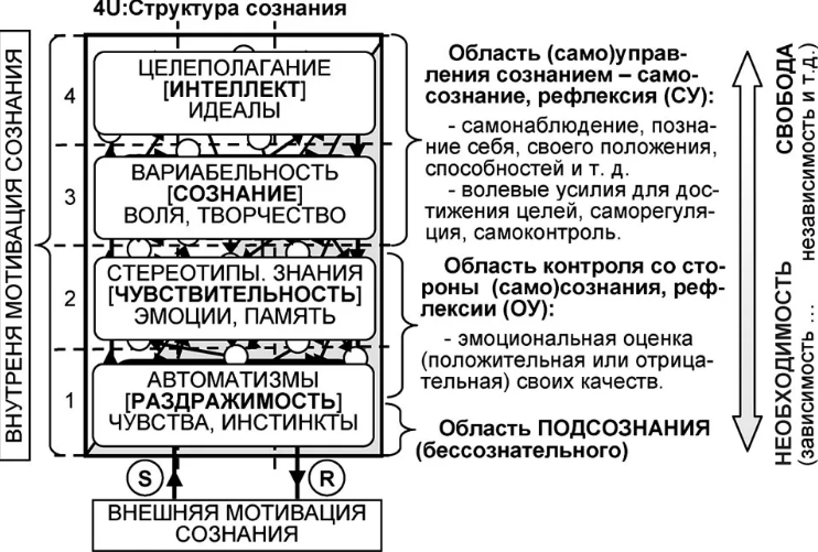 Структура и функции сознания - Концепции сознания