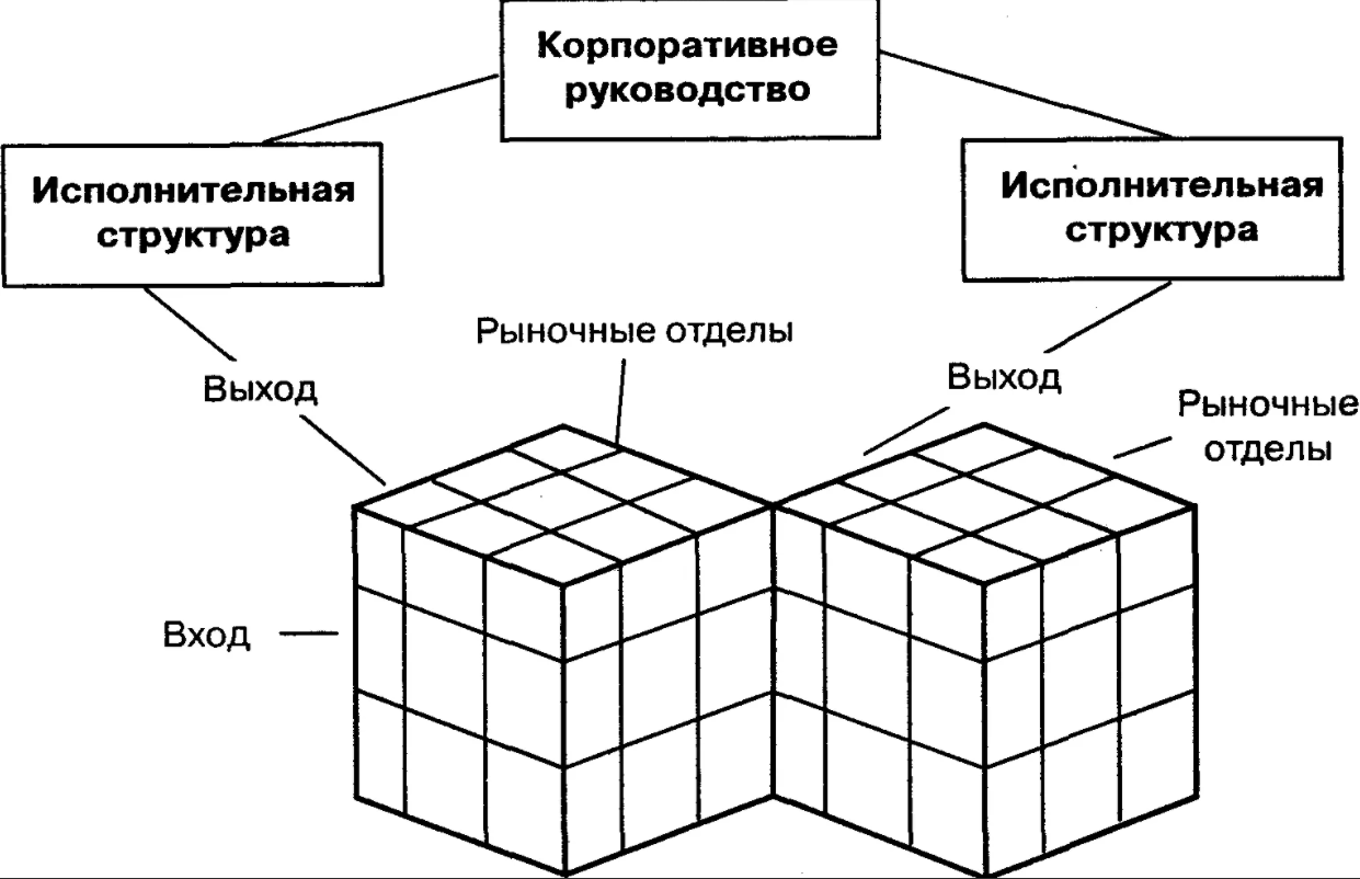 Многомерная и предпринимательская организация - Многомерные организации