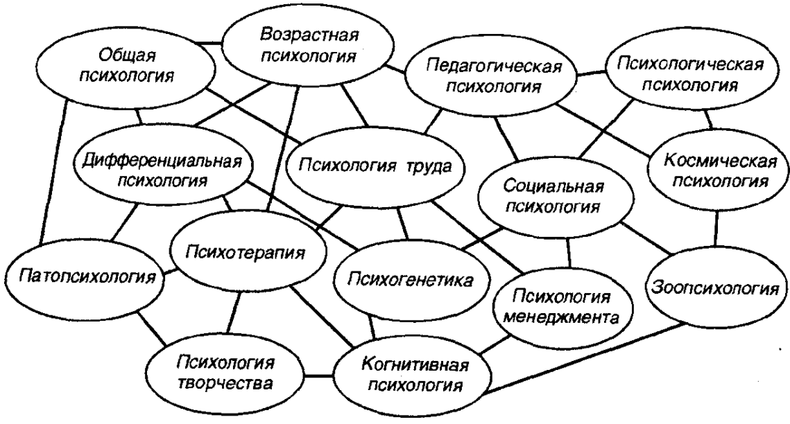 Общая характеристика педагогической профессии