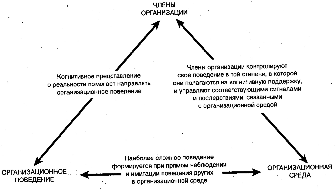 Научение поведению в организации - Поведенческая теория