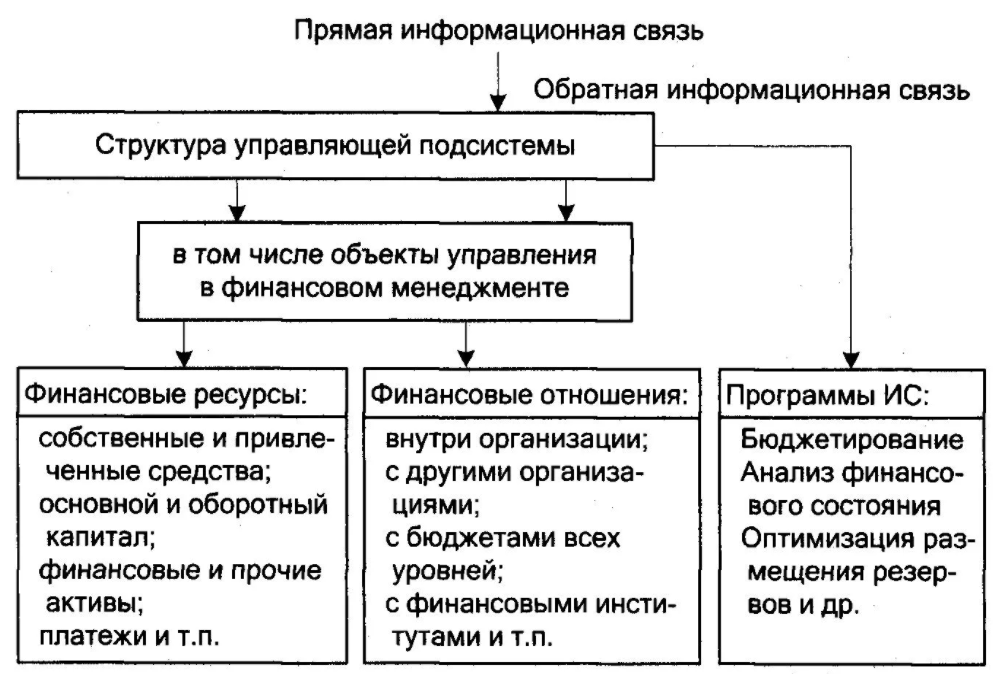 Особенности управления финансами в бюджетной организации - Структура системы финансового менеджмента организаций