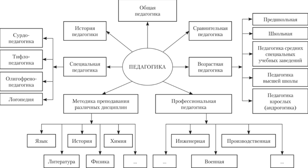 Система педагогических наук и связь педагогики с другими науками - Формы связи педагогики с другими науками 